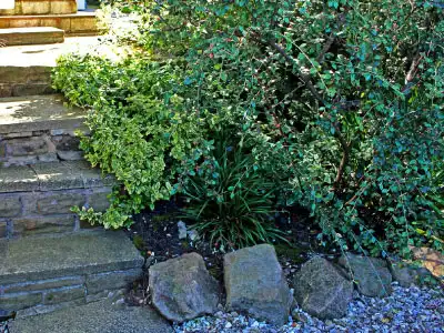 Planting and Weeding Thumbnail Image