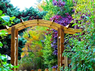 Archways and Gating Thumbnail Image