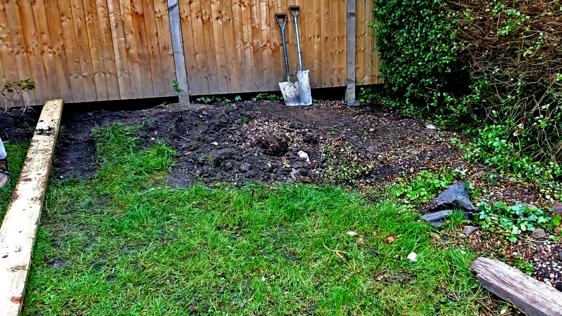 Project 2 Before Image