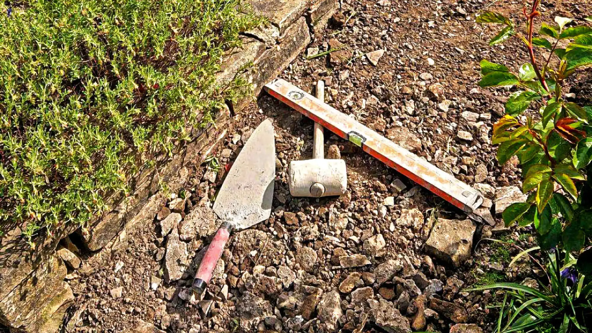 Project 5 Before Image
