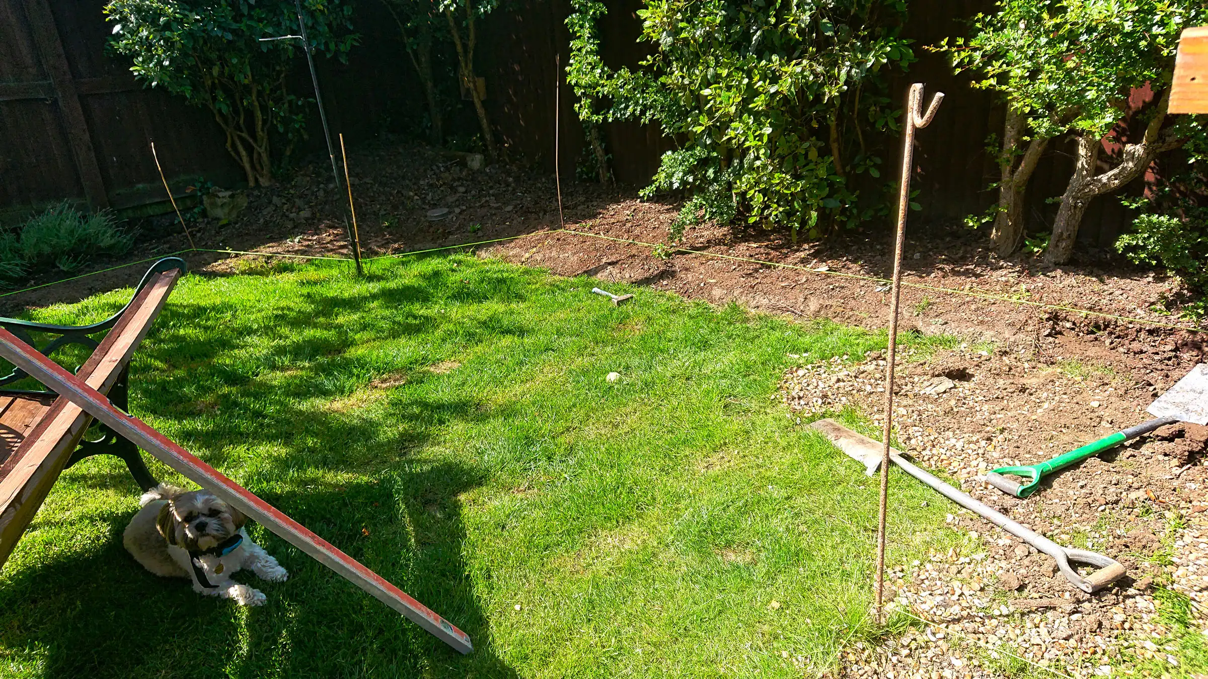 Project 12 Before Image