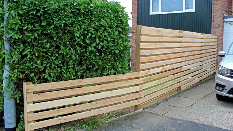 Picture of Trimmed Hedge for a Fence, Project 18
