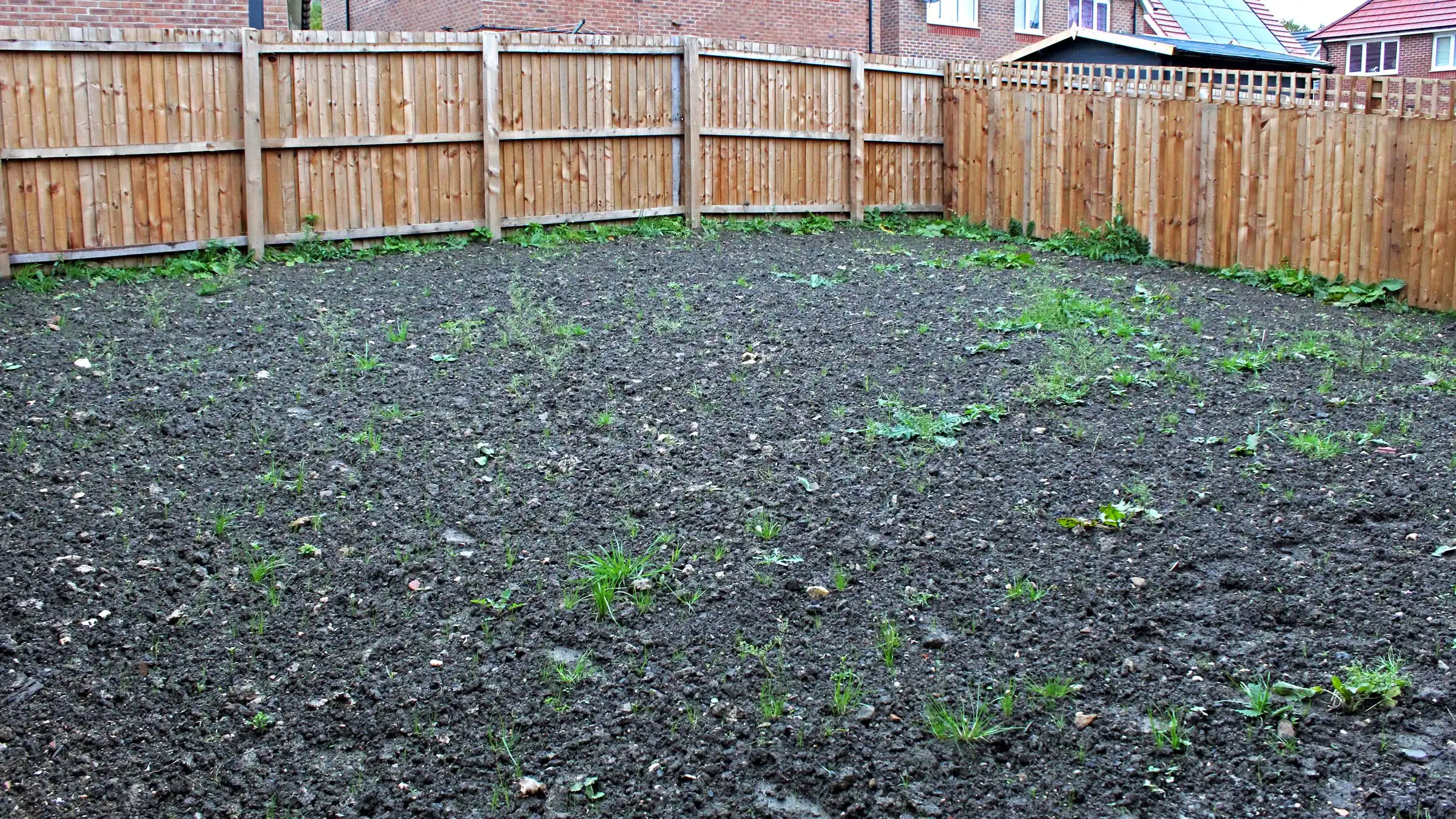 Project 21 Before Image